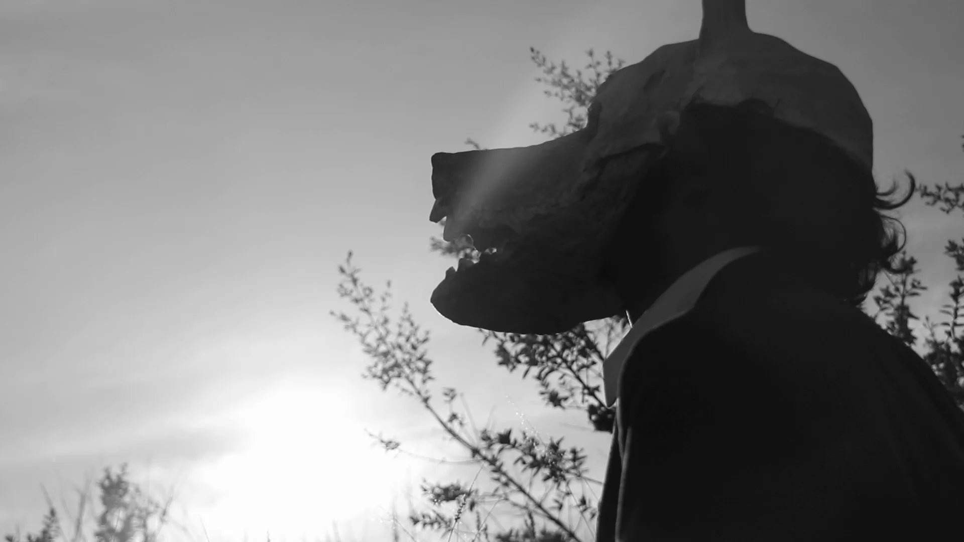 El Perro